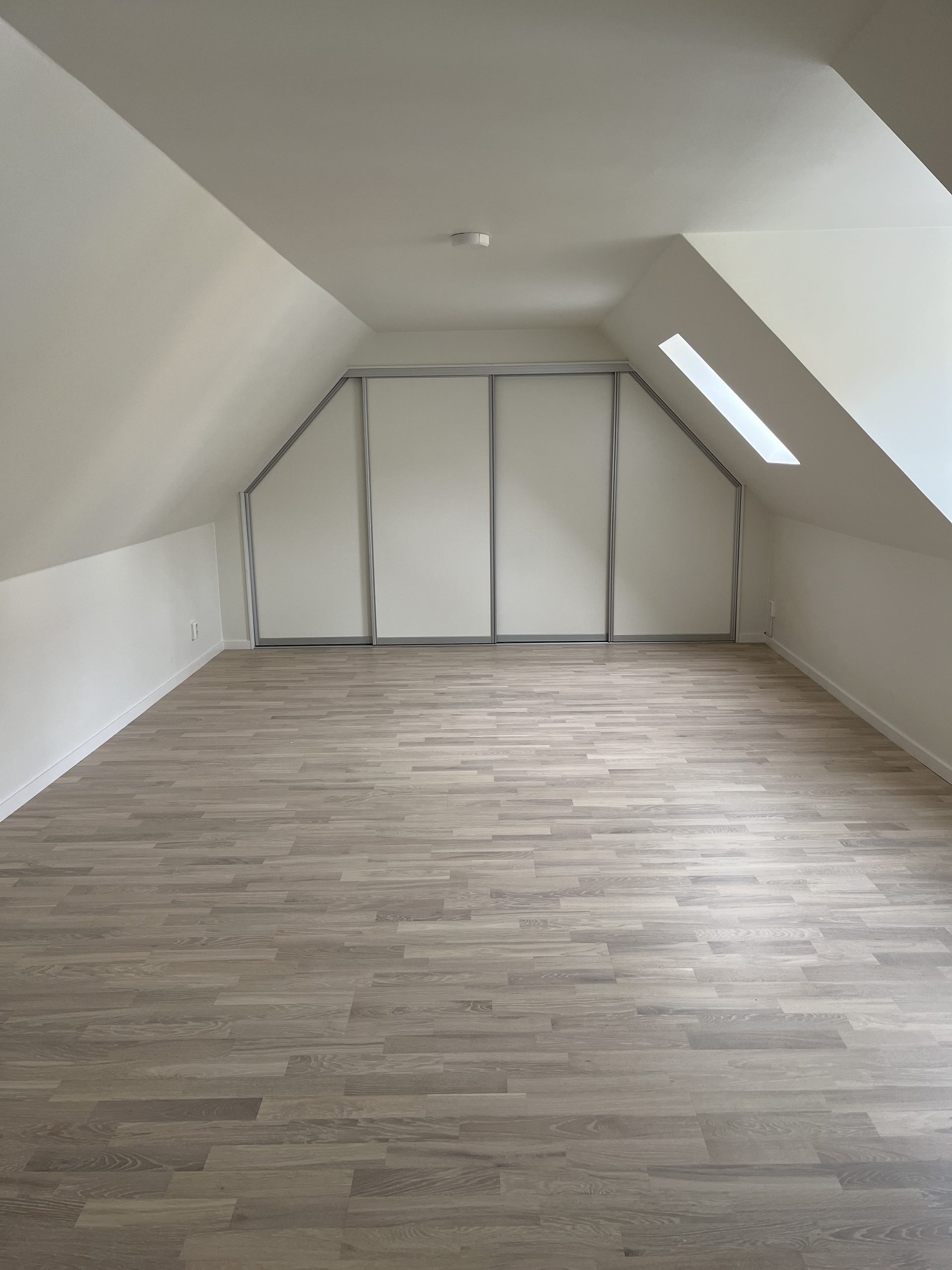 White doors framing a skylight in sloped ceiling